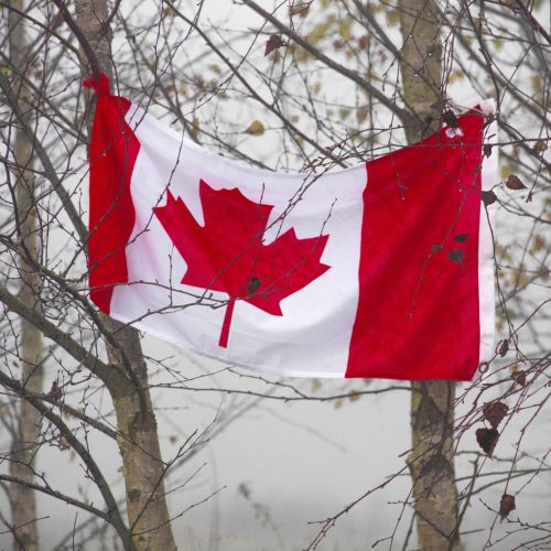 Moving to Canada: Practical Information on Settling In